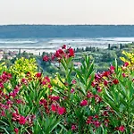 Apartamento Oleavista Portoroz