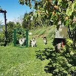 Apartamento Oleavista Portoroz