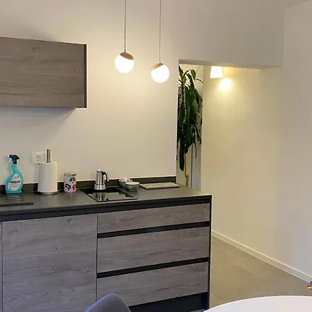 Appartement Hisa Olive - Olive House *