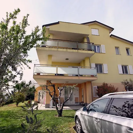 Hisa Olive - Olive House *