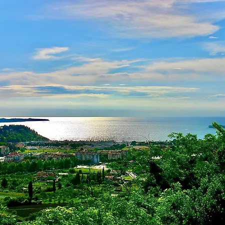 Sea View Olive Retreat Apartment *