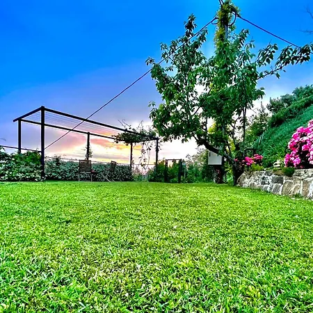 Apartment Sea View Olive Retreat