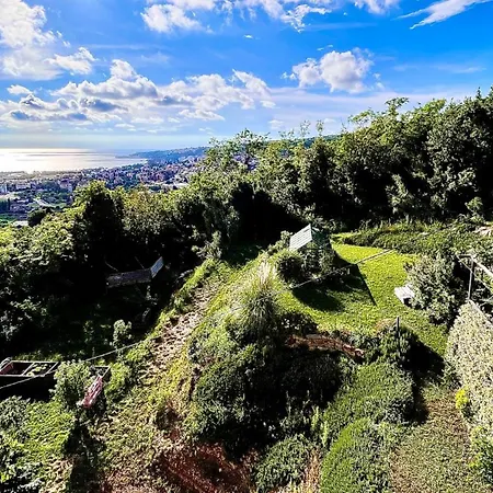 Sea View Olive Retreat *
