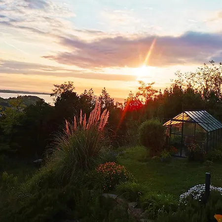 Daire Oleavista Portorož