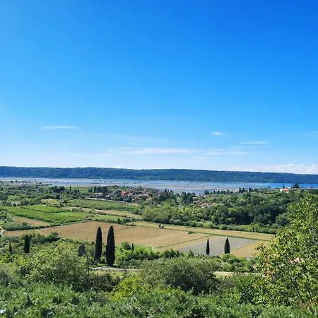 Oleavista