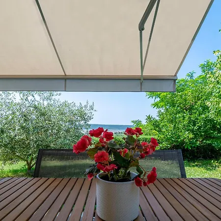 Appartement Oleavista Portorož