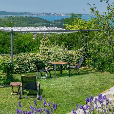 Appartement Oleavista