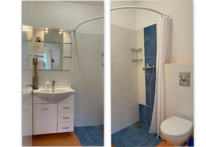 Apartment Oleavista *