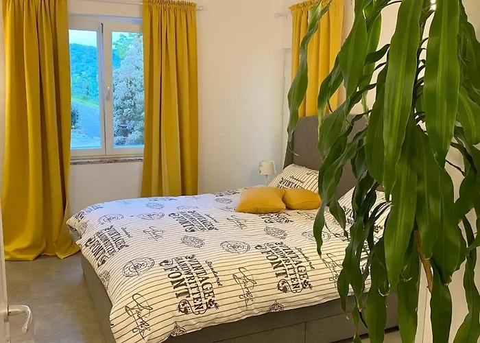 Appartement Oleavista *