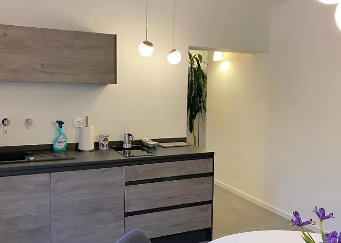 Appartement Oleavista *