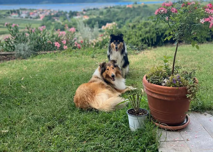 Oleavista Appartement *