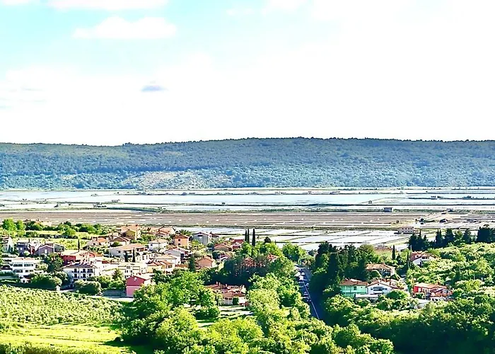 Appartement Oleavista *