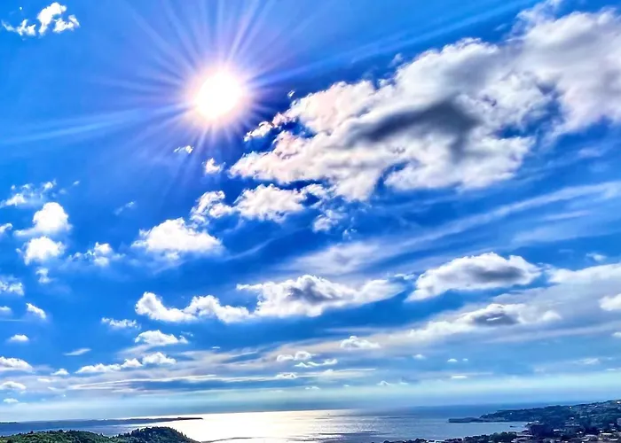 Daire Oleavista Portorož