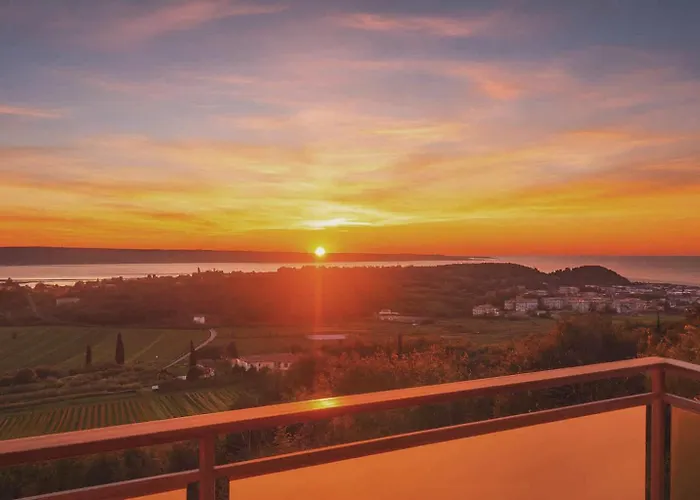 Daire Oleavista Portorož