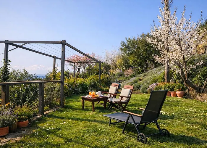 Daire Oleavista Portorož